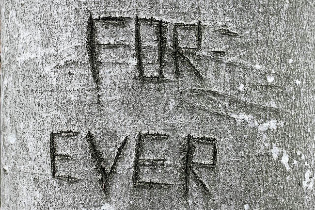 Words carved onto a tree