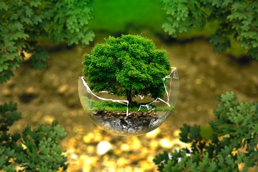 Tree inside a shattered glass orb