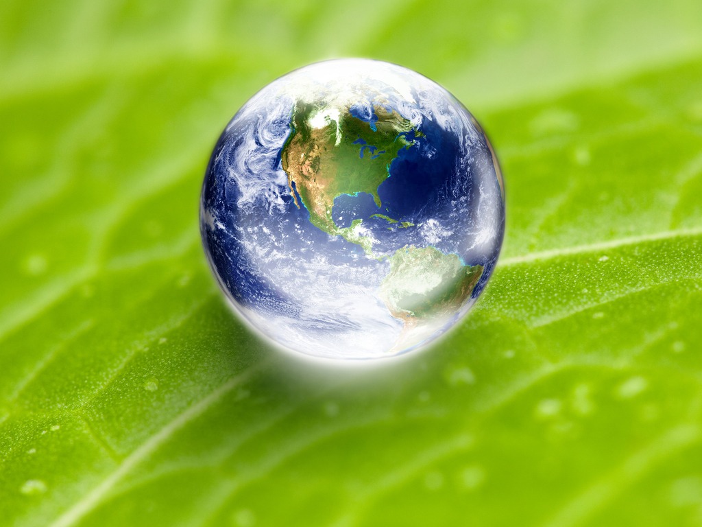 Globe on a green leaf