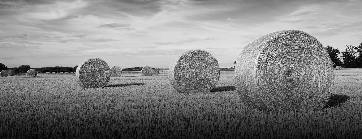 Bales of hay